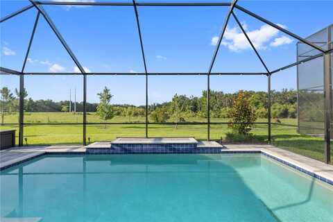14215 SWISS BRIDGE DRIVE, RIVERVIEW, FL 33579