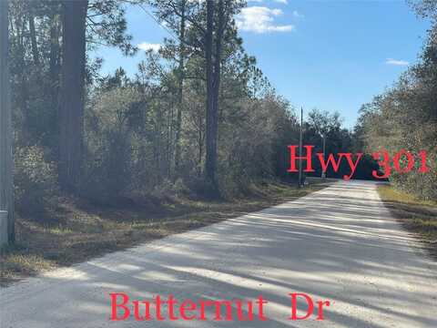 BUTTERNUT DRIVE, WEBSTER, FL 33597