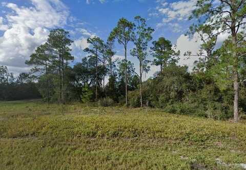 1329 ST AUGUSTINE COURT, KISSIMMEE, FL 34759