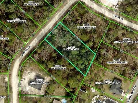 PAMELA CIRCLE, BROOKSVILLE, FL 34614