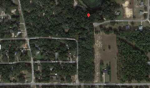 Tbd REDBUD ROAD, LADY LAKE, FL 32159