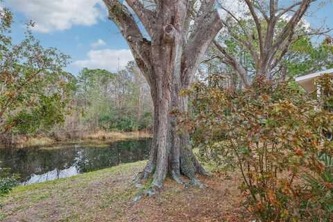312 BRIGADOON CIRCLE, LEESBURG, FL 34788