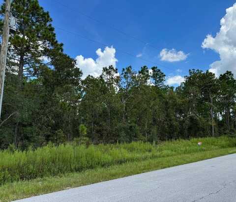 Tbd Lot 39 SW VIBEURNUM ROAD, DUNNELLON, FL 34431