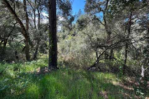 0 Marion AVE, BEN LOMOND, CA 95005