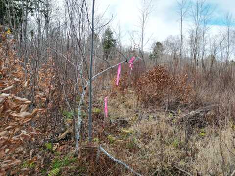 Lot 10 Moose Lane, Springfield, ME 04487