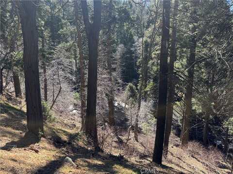 0 Sunderland Court, Lake Arrowhead, CA 92352