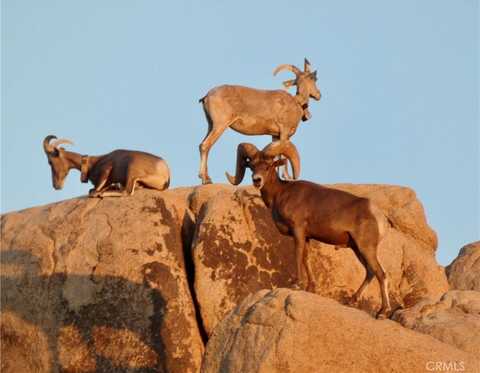 0 Foothill Drive, Joshua Tree, CA 92252