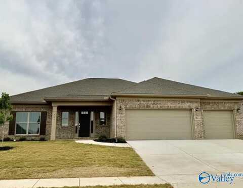 207 John Clift Circle, Madison, AL 35757
