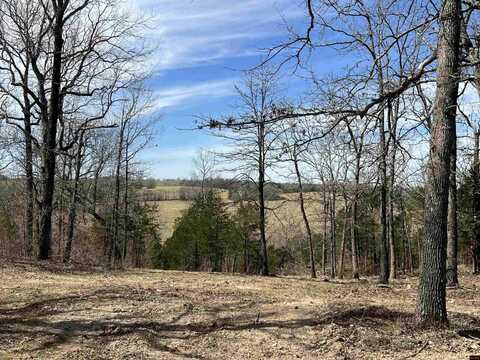001-06967-000 BERRY KNOB LANE, Salem, AR 72576