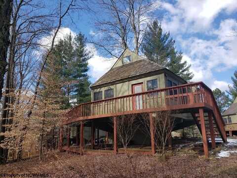 77 Red Squirrel Run, Davis, WV 26260