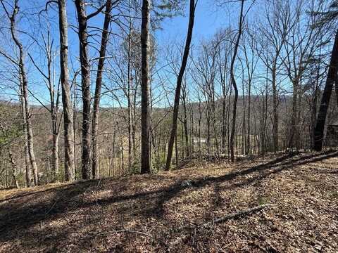 1035 Sky Hawk Mountain Drive, Hiawassee, GA 30546