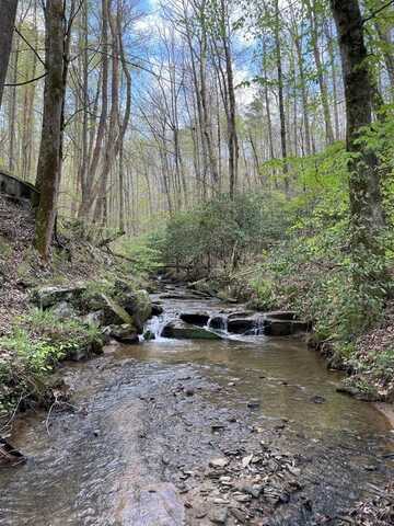 Shady Grove Road, Talking Rock, GA 30175