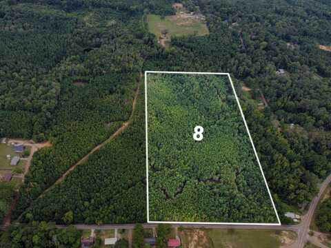 Lot 8 West South Street, Kosciusko, MS 39090