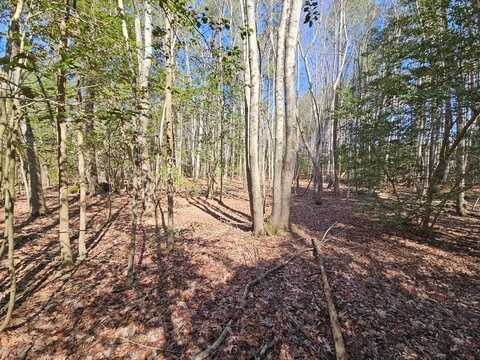 0.747 AC Mothershead Neck road, Farnham, VA 22460