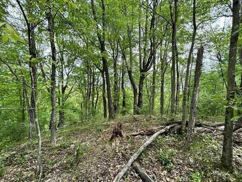 TBD Wisteria Drive, Radford, VA 24141