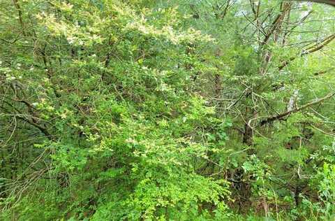 000 Brookshire Drive, Gordonville, TX 76245