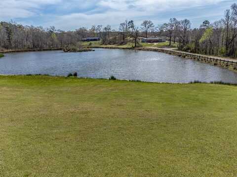 Tbd Sage Drive, Diana, TX 75640