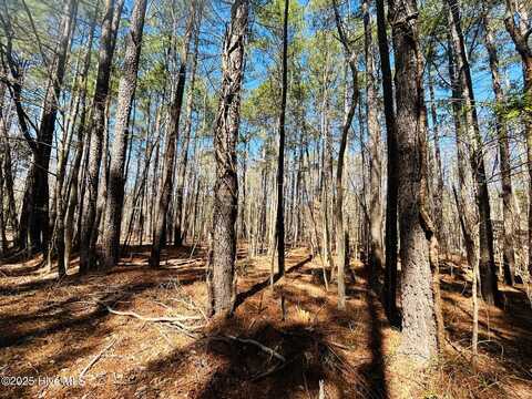 53 Hunt Club Trail, Hertford, NC 27944