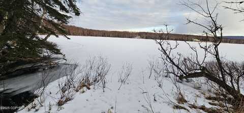 2815 N Larry Trail, Wasilla, AK 99654