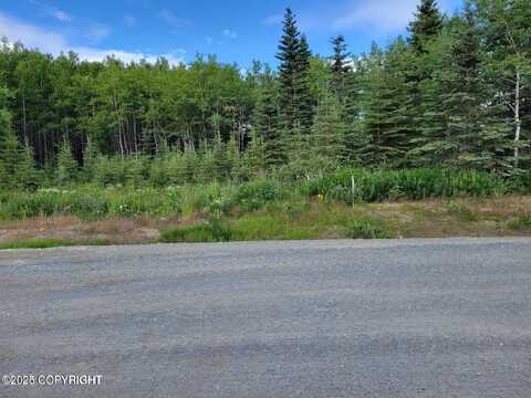 47900 Snipe Avenue, Soldotna, AK 99669