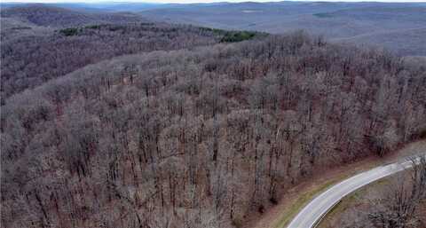 TBD AR-16, Pettigrew, AR 72752