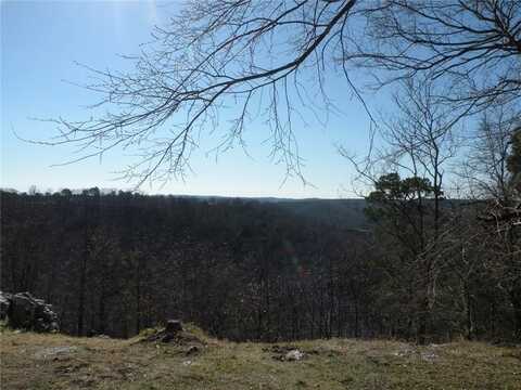 167 Holiday Island DR, Holiday Island, AR 72631