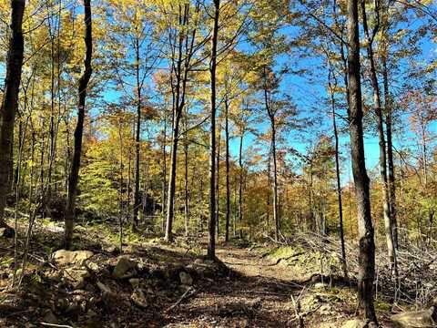 VL Bucktooth Run Road, Little Valley, NY 14755