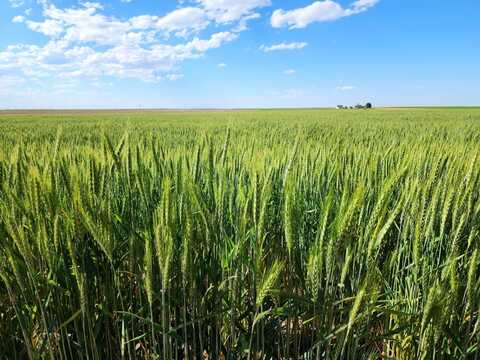 TBD County Road 81, Potter, NE 69156