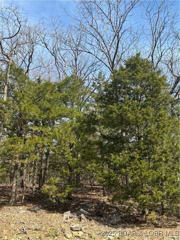 Lot 67 Regency Cove Drive, Four Seasons, MO 65049