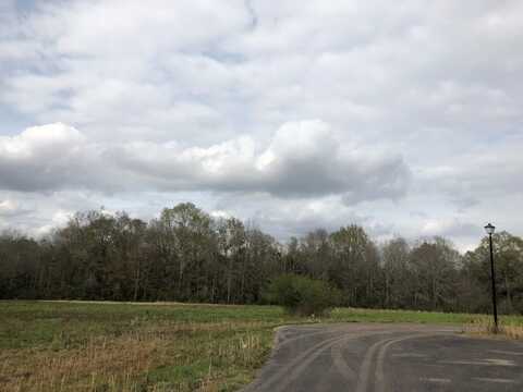NHN Theodore Dr Lot 26, Poplarville, MS 39470