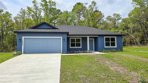 10624 N Didiscus Drive, Citrus Springs, FL 34434