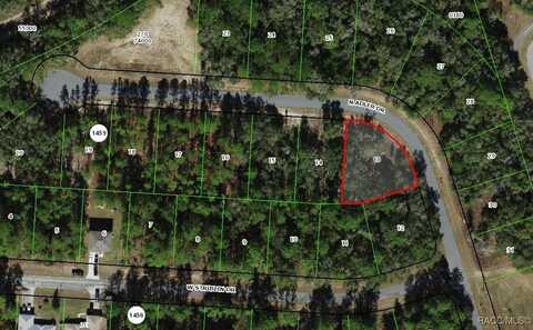 11208 N Adler Drive, Citrus Springs, FL 34434