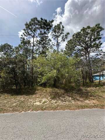 2 Fringetree Court, Homosassa, FL 34446