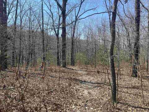 000 Surewood Drive, Mountain View, AR 72560