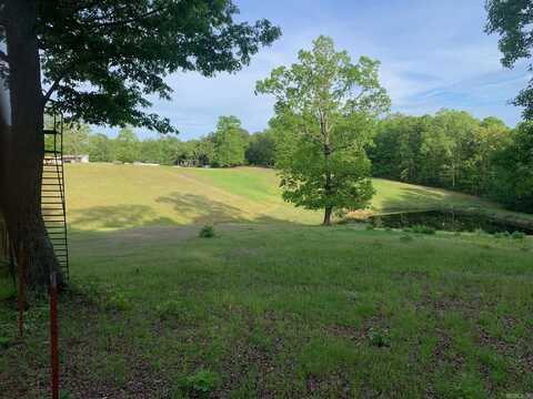 TBD Polk Road 168 LOT #6, Mena, AR 71953