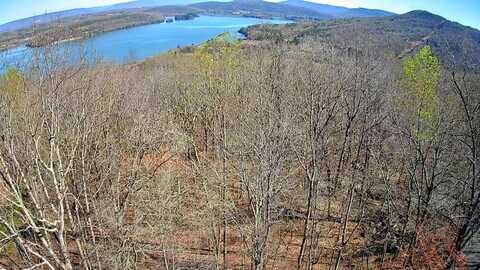 Scenic Drive, South Pittsburg, TN 37380