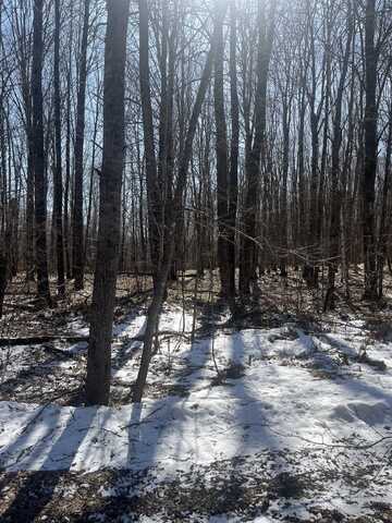 10555 EASEMENT Road, TIPLER, WI 54542