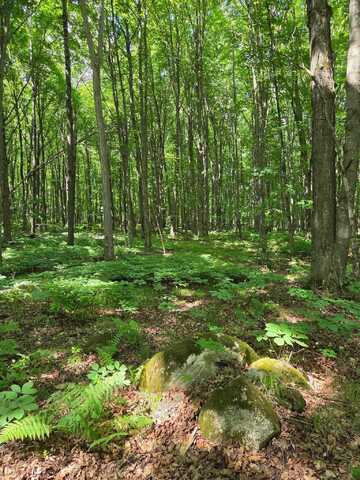 10555 EASEMENT Road, TIPLER, WI 54542