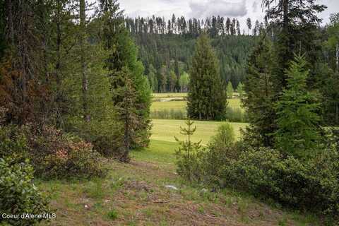 207 Long lot#4 Dr, Priest Lake, ID 83856