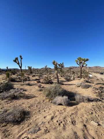 0 Saddleback Road, Joshua Tree, CA 92252