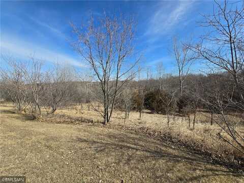 72569 243rd Street, Dassel, MN 55325