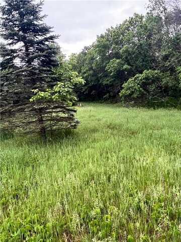 Xxx 174th Street NW, Orrock, MN 55309