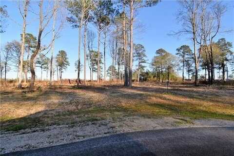 0 SOPHIE Lane, Dry Prong, LA 71423