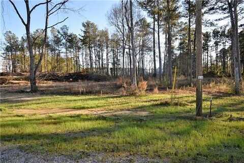 0 SOPHIE Lane, Dry Prong, LA 71423