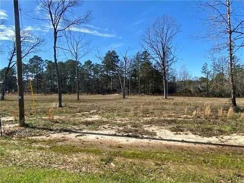 0 SOPHIE Lane, Dry Prong, LA 71423