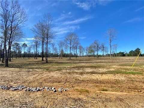 0 SOPHIE Lane, Dry Prong, LA 71423