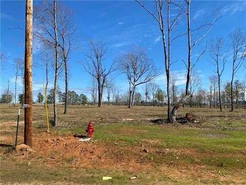 0 SOPHIE Lane, Dry Prong, LA 71423
