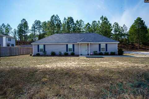 676 Old Orangeburg, Lexington, SC 29073