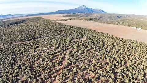 11242 Road 20, Cortez, CO 81321