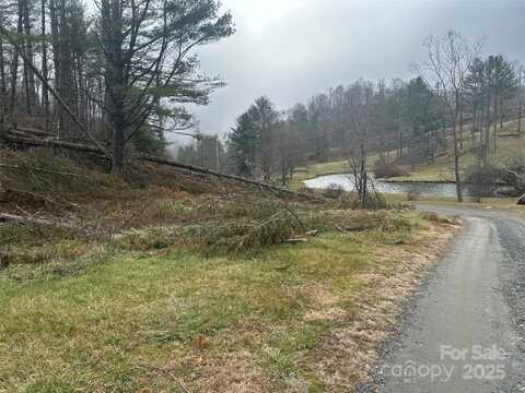 99999 Big Rock Creek Drive, Bakersville, NC 28705